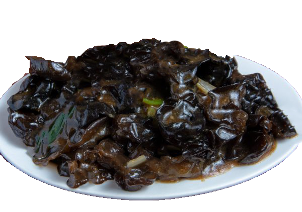 Algas com Oyster