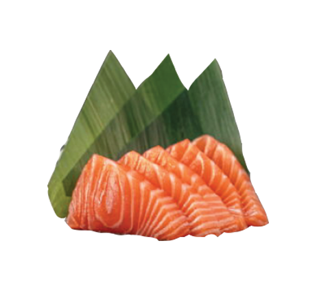 Sashimi Salmão